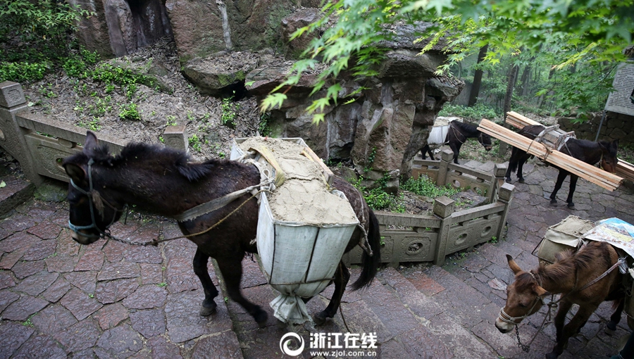 骡子军给杭州帮了大忙