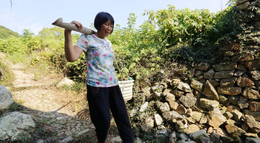 “兵妈妈”孙芬年扁担挑起大爱 30多年坚持为官兵送蔬菜