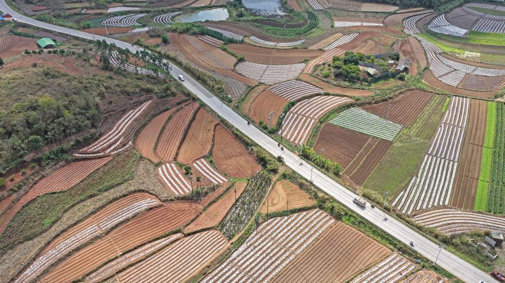 人勤春来早 农忙正当时