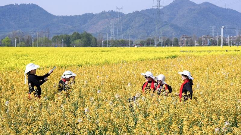 安吉：花田咖啡迎客来