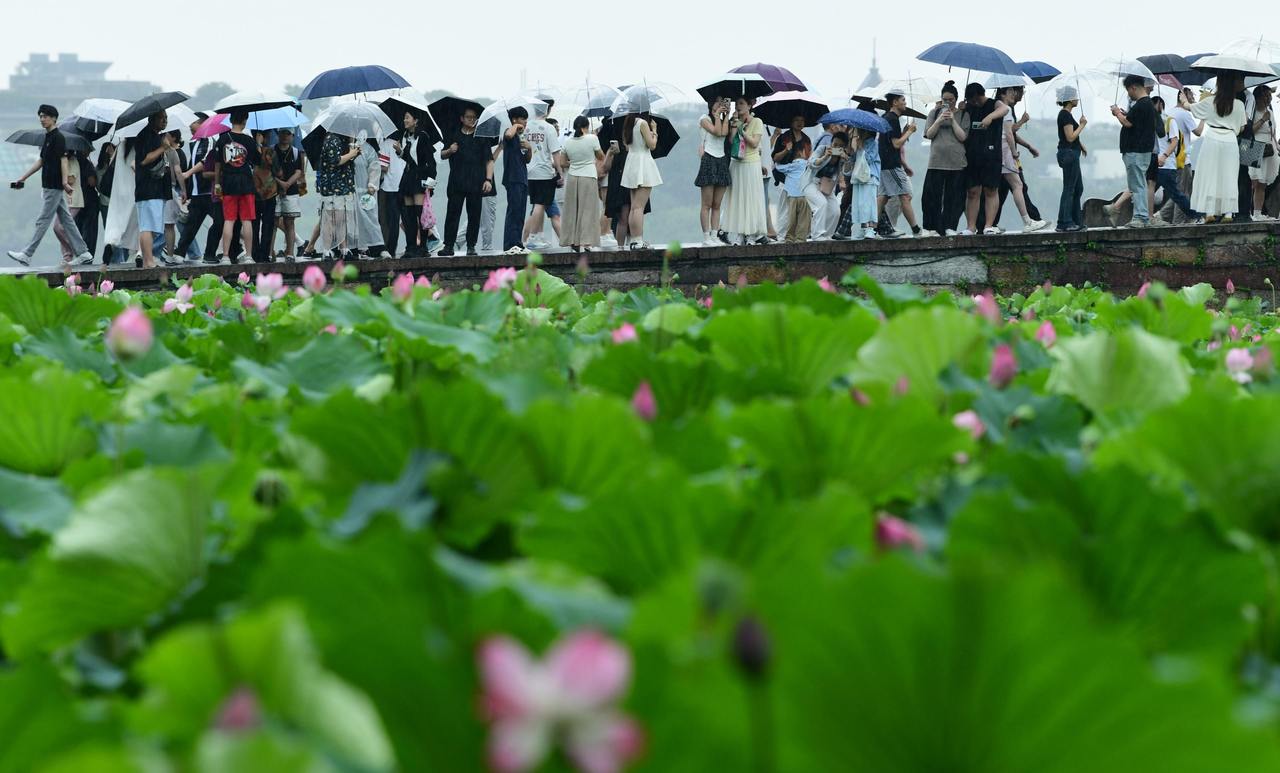 杭州：时雨时晴 梅雨季进入尾声