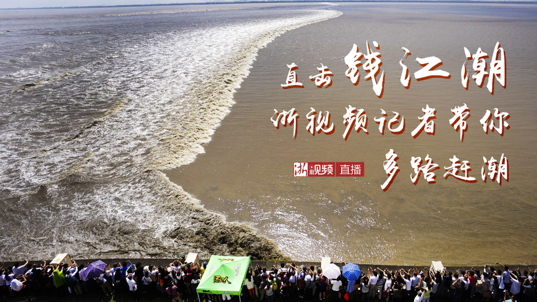 直播回放丨八月十八直击钱江潮浙视频记者带你多路赶潮