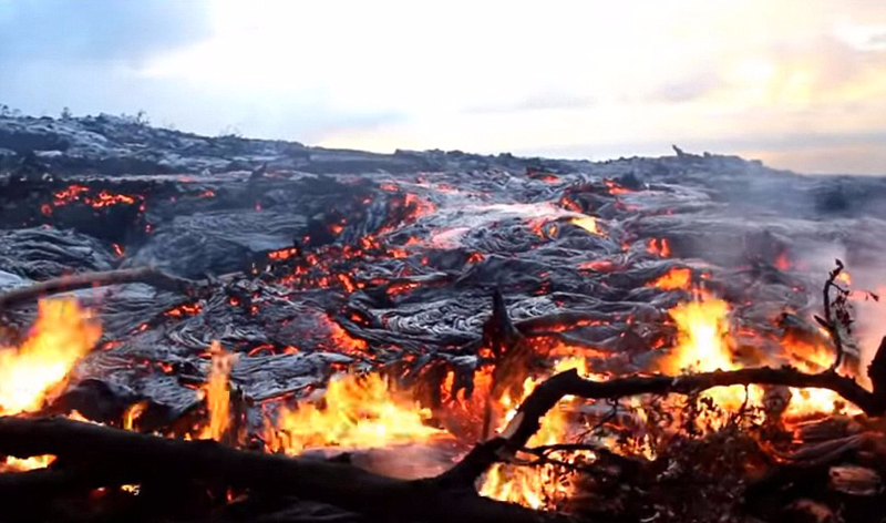 夏威夷活火山喷发 熔浆吞噬森林