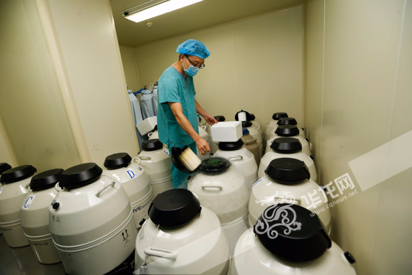 液氮罐中冷冻着大量胚胎.记者 石涛 摄