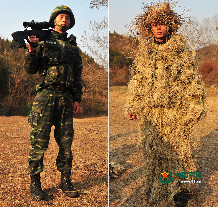欢迎走进狙击手的伪装世界(组图)