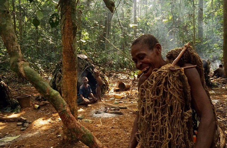 非洲侏儒部落土著寿命短 平均身高1米3