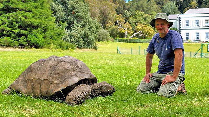 盘点世界最长寿生物 6000岁猴面包树需40人合抱