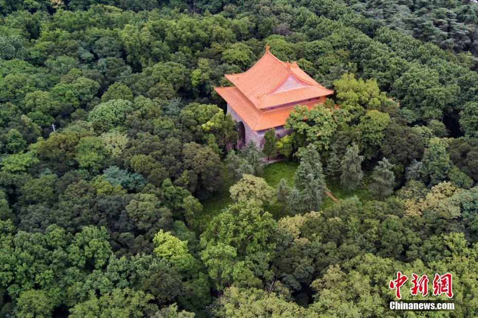 航拍世界文化遺產南京明孝陵 盡顯一代帝王威武氣勢