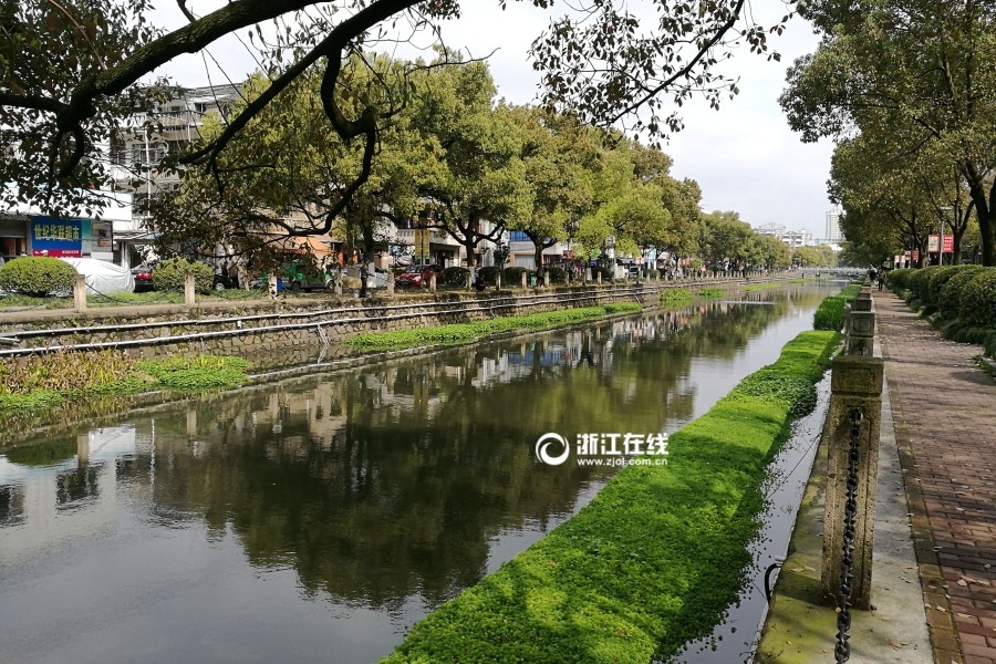 椒江海门河水清岸绿景色美 2 6 2017年03月26日 08:00:09