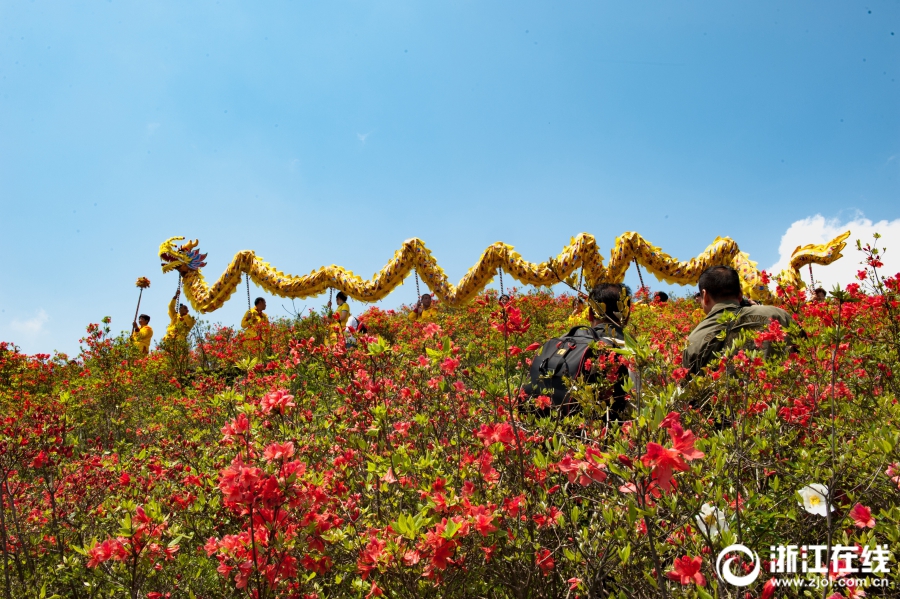 瑞安龙游花海