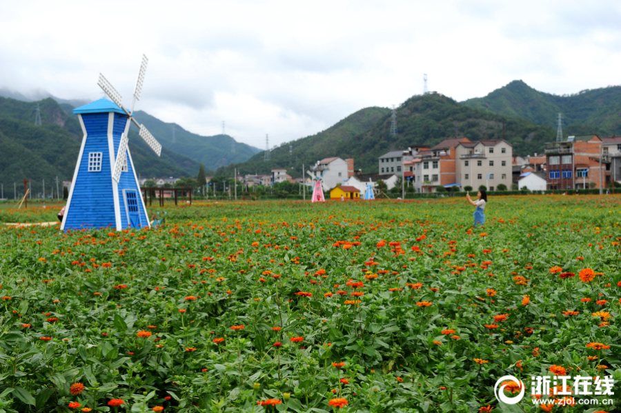 东阳:建设美丽乡村 拓展美丽经济