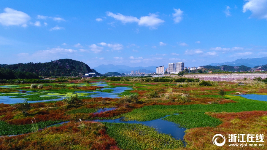 仙居:永安溪湿地公园秋色迷人