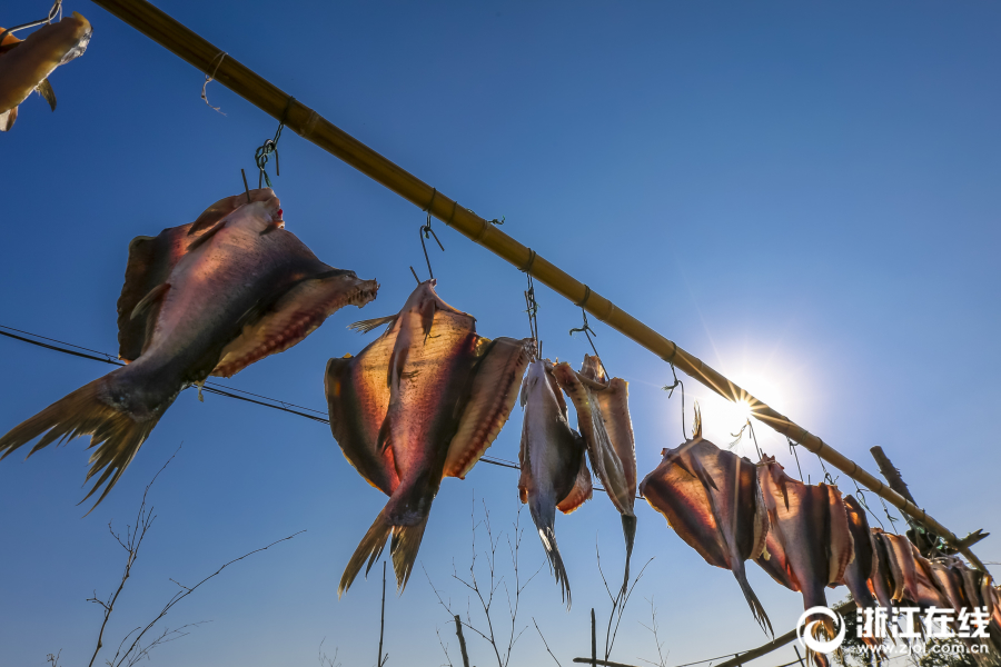 浙江宁波:冬日鱼鲞飘香时