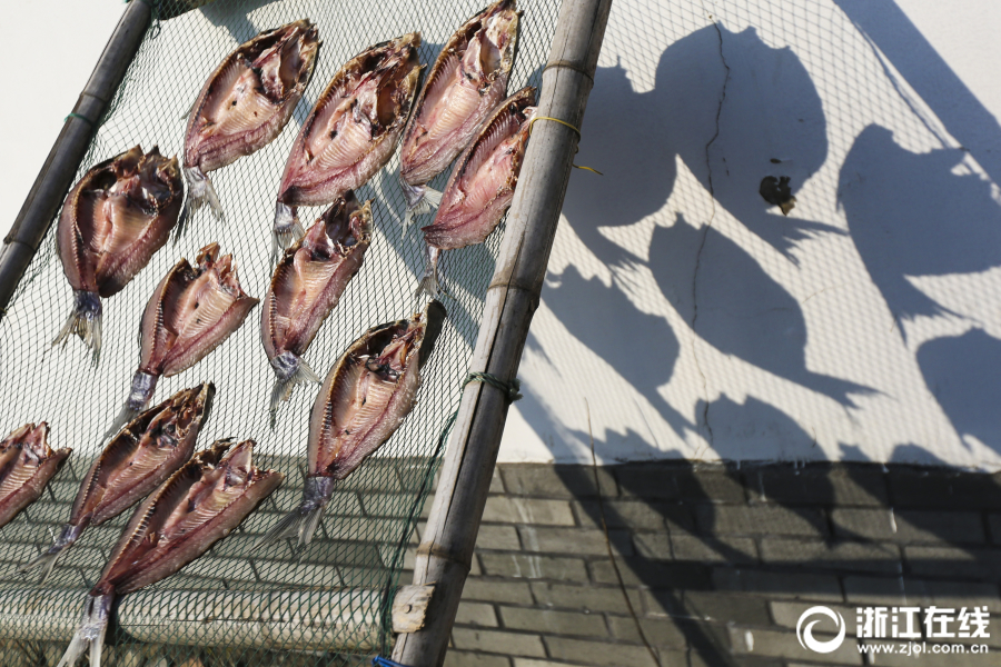 浙江宁波:冬日鱼鲞飘香时