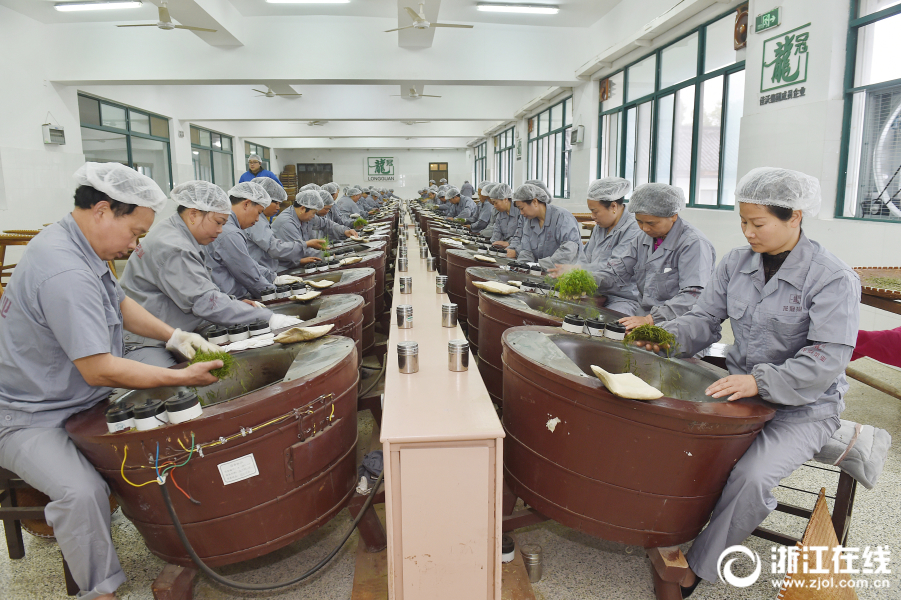 杭州56台炒茶机同时开启炒制西湖龙井