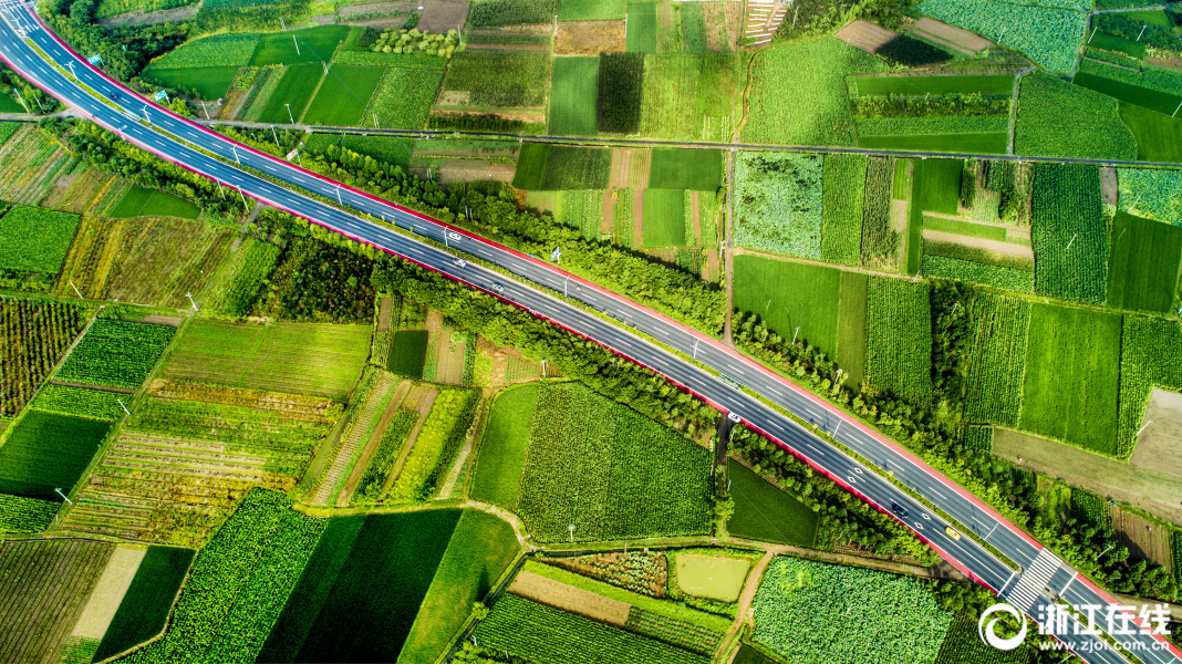 仙居:绿色生态七彩路 带动乡村经济大发展